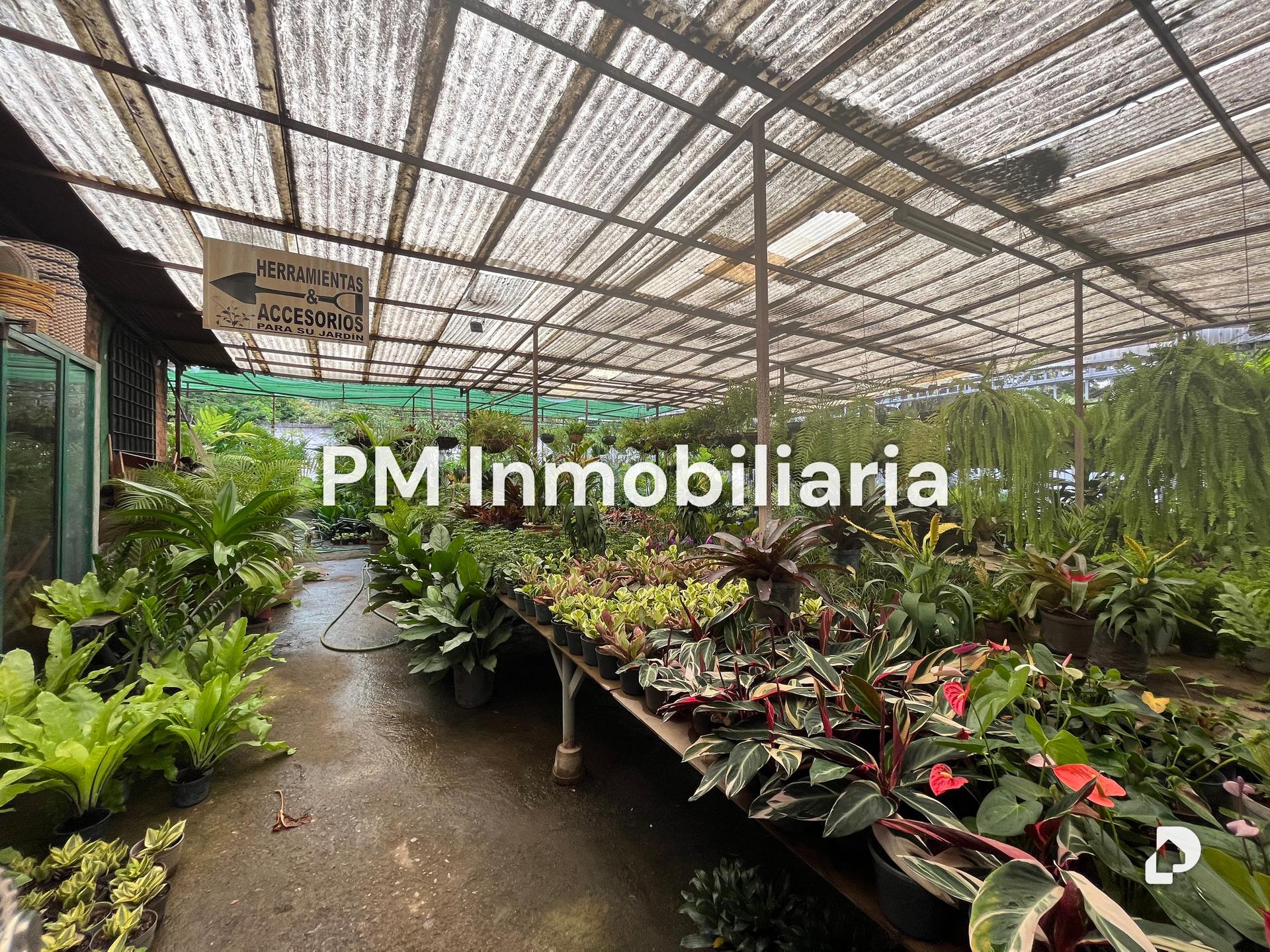 Terreno en Los Chorros, Caracas – 3