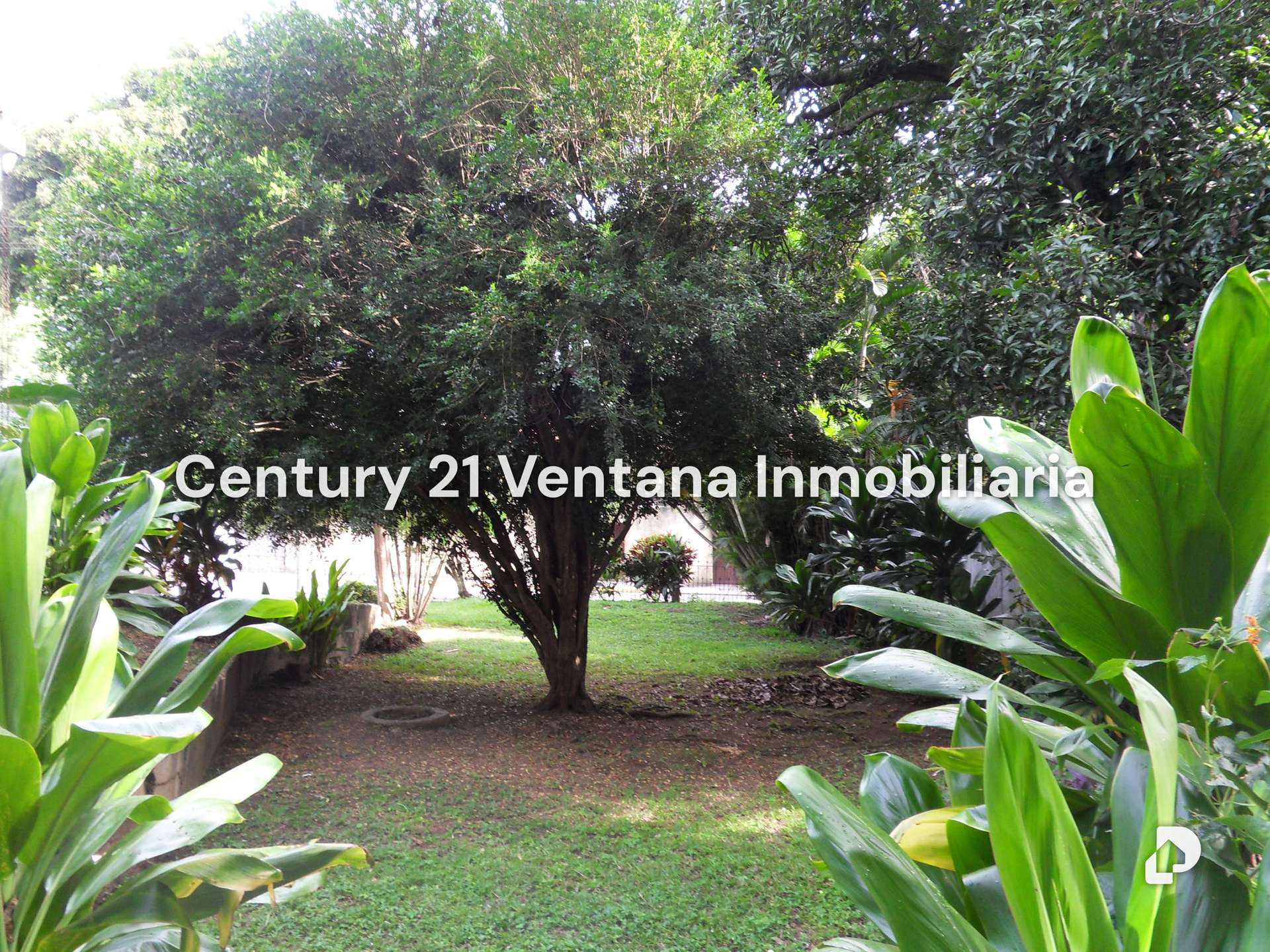 Terreno en Los Chorros, Caracas – 9