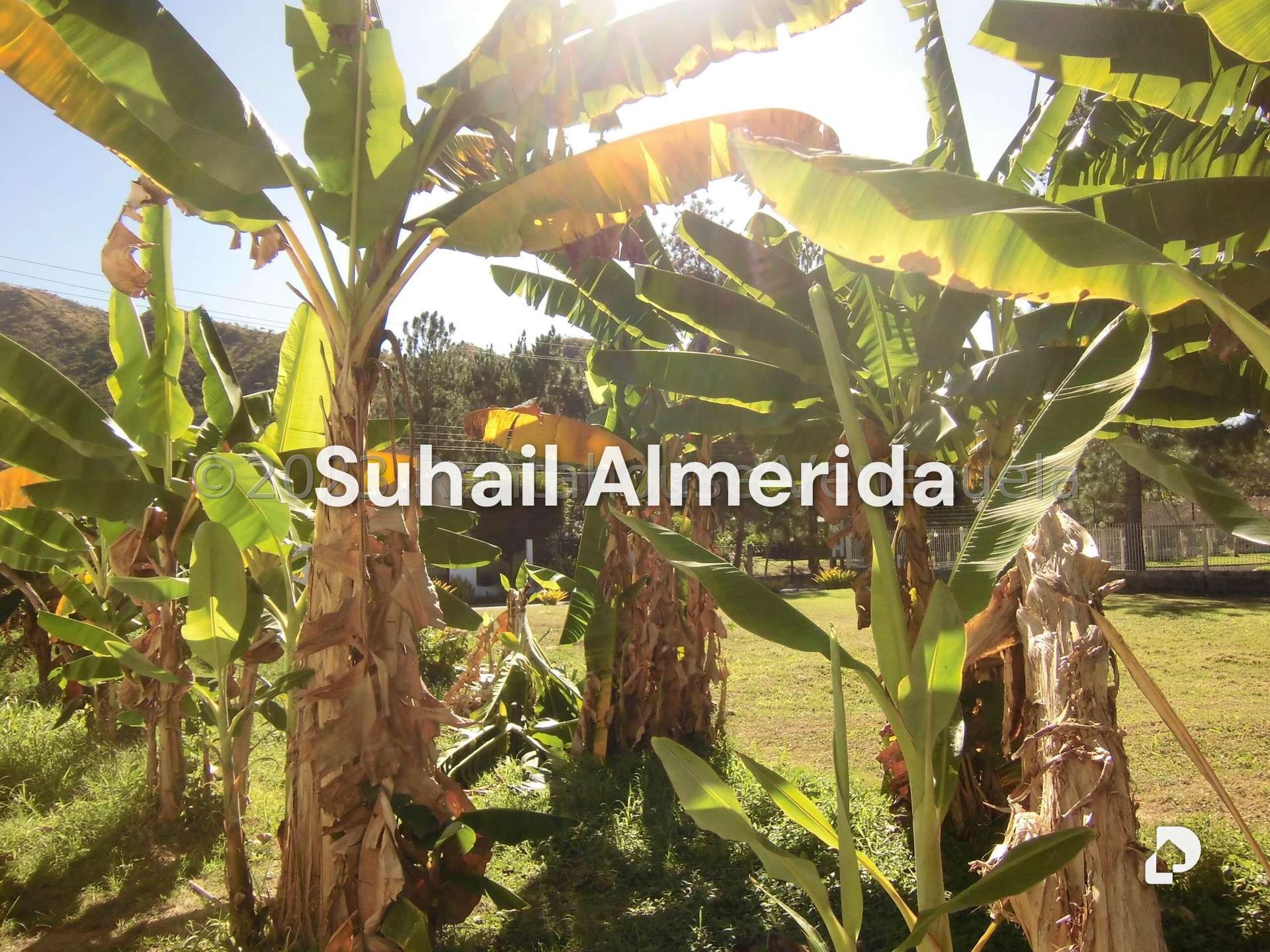 Terreno en La Cumaca, San Diego – 10