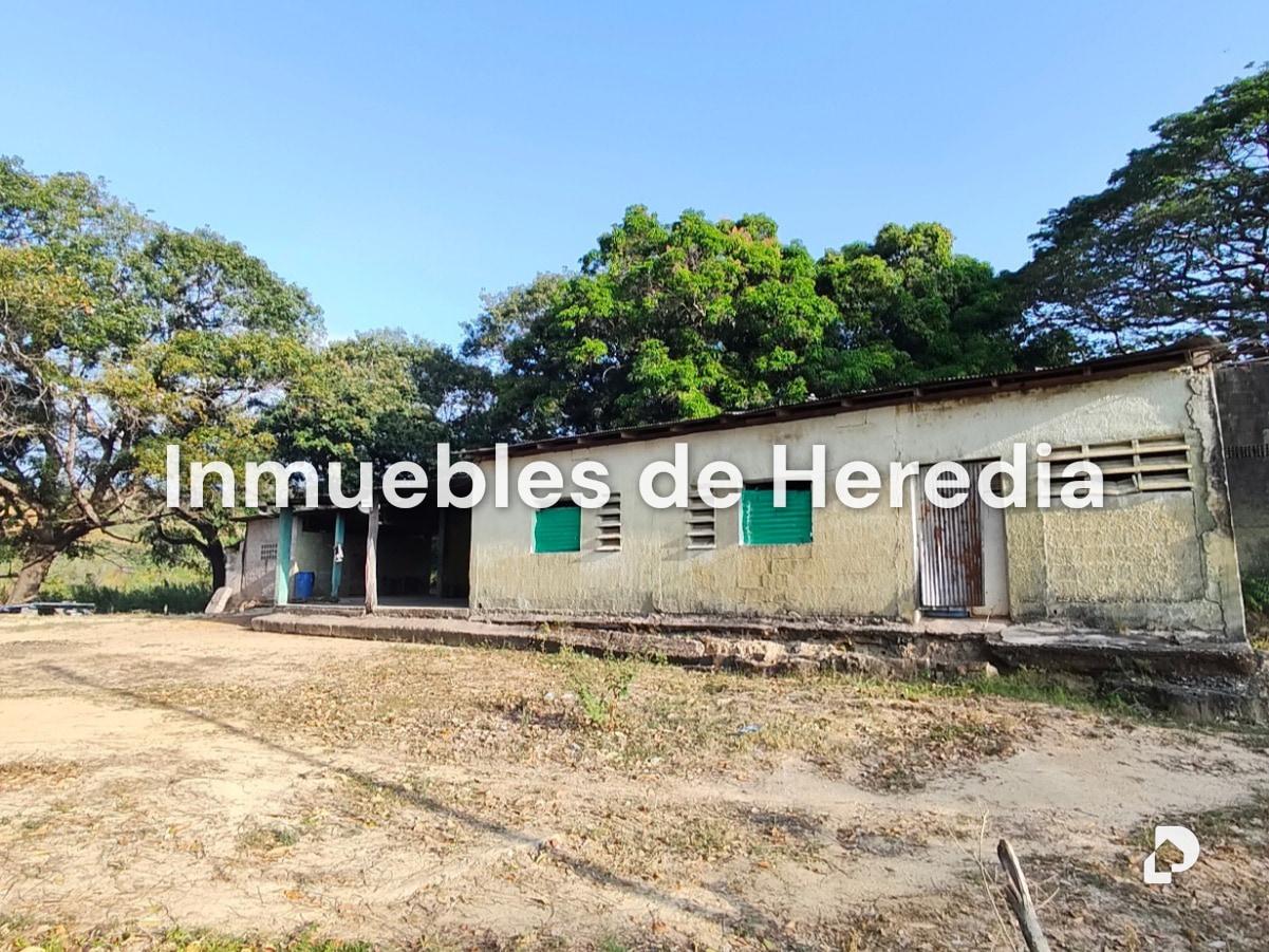 Finca en San Carlos – 1