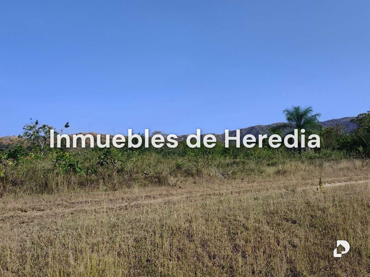 Finca en San Carlos – 3