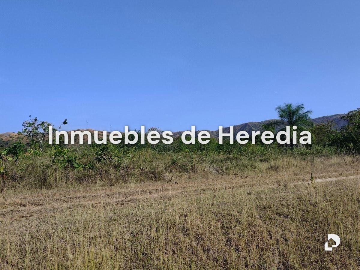 Finca en San Carlos – 3