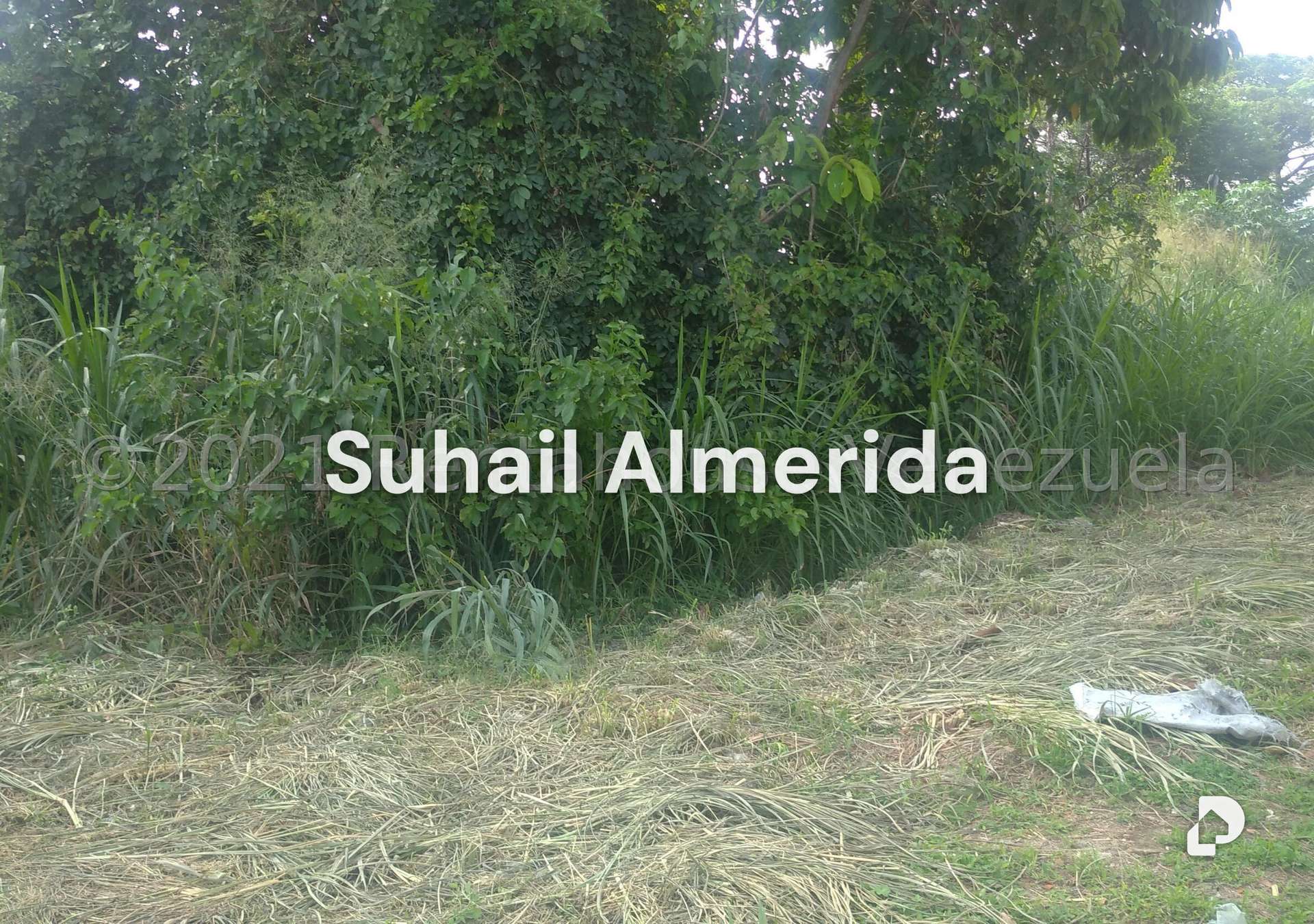 Terreno en Pueblo de San Diego, San Diego – 7
