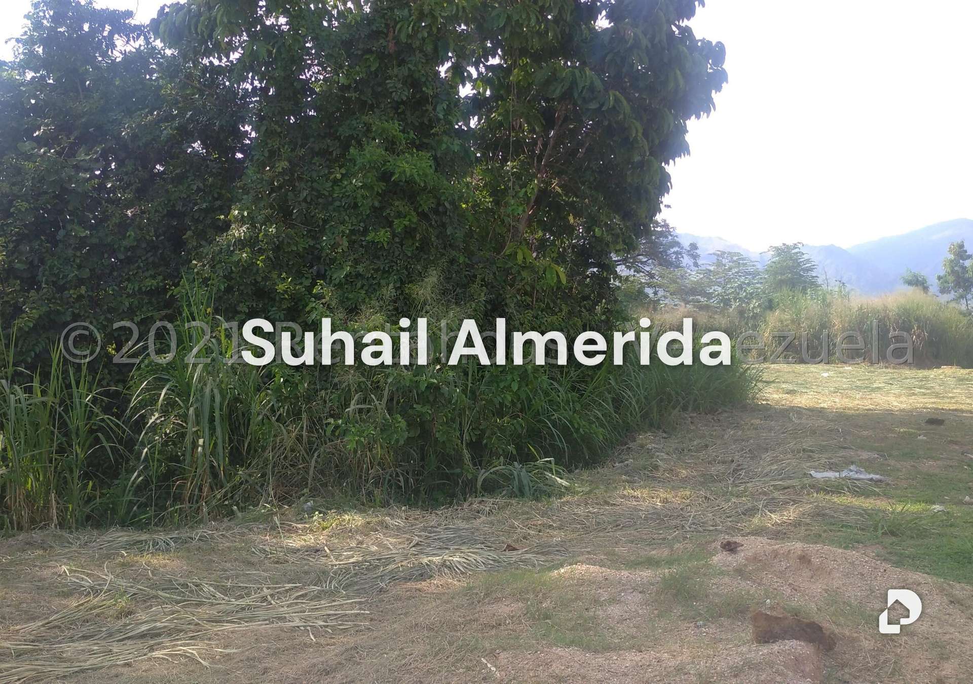 Terreno en Pueblo de San Diego, San Diego – 2