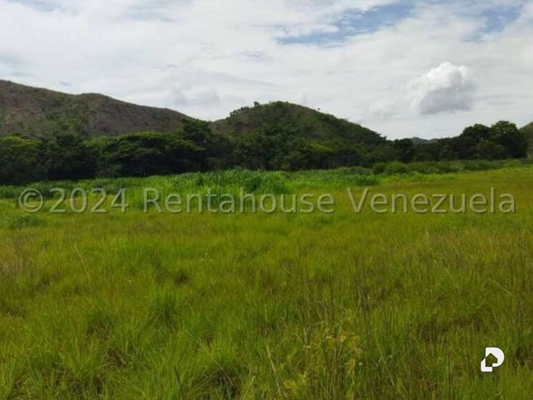Terreno en El Limón – 5