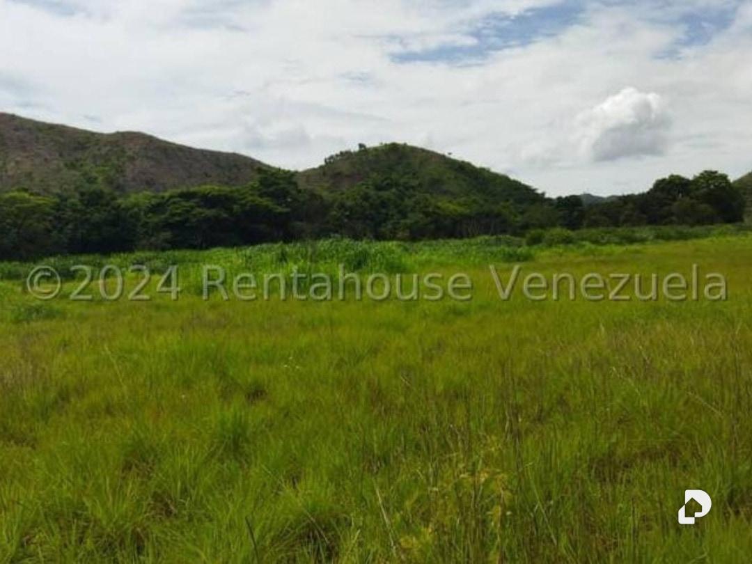 Terreno en El Limón – 5