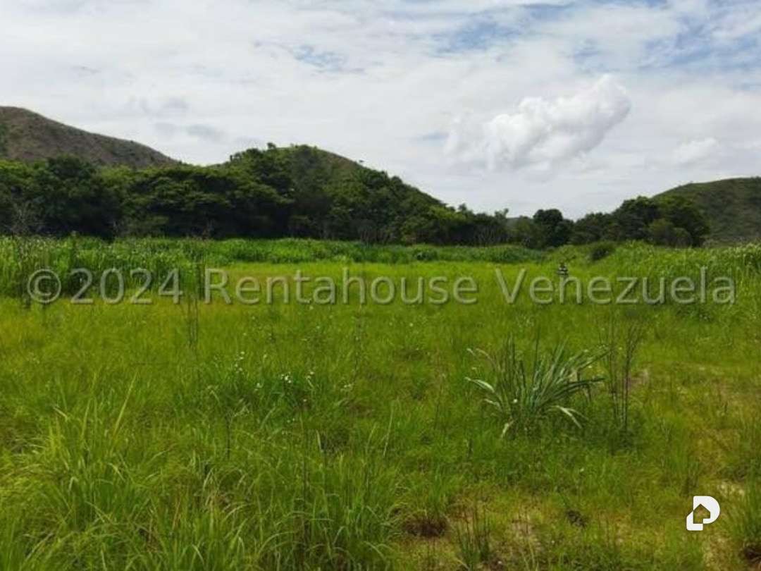 Terreno en El Limón – 4