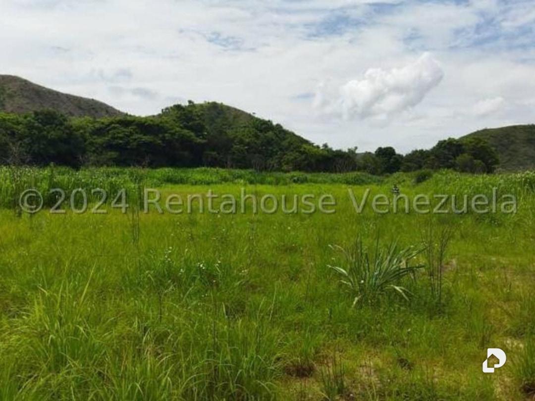 Terreno en El Limón – 4