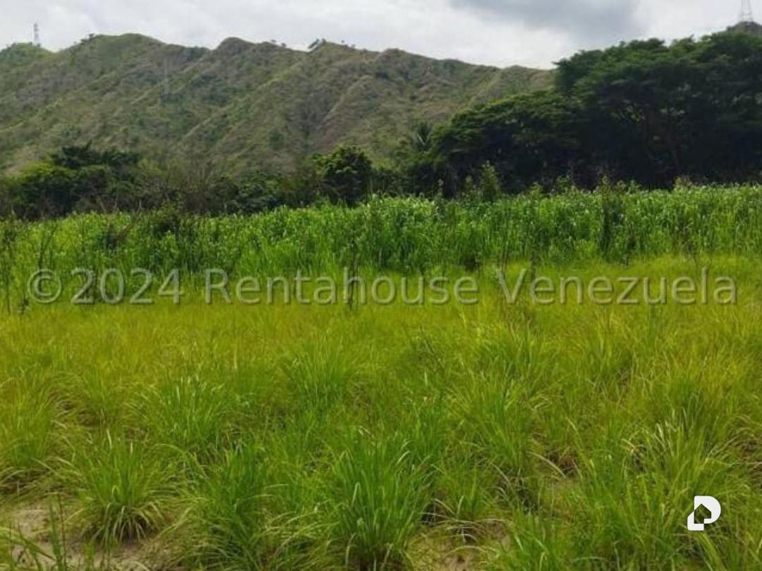 Terreno en El Limón – 3