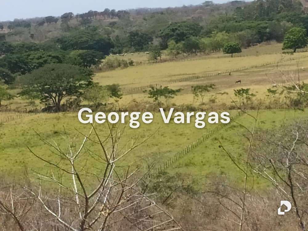 Finca en Sector La Guanta, Camatagua – 7