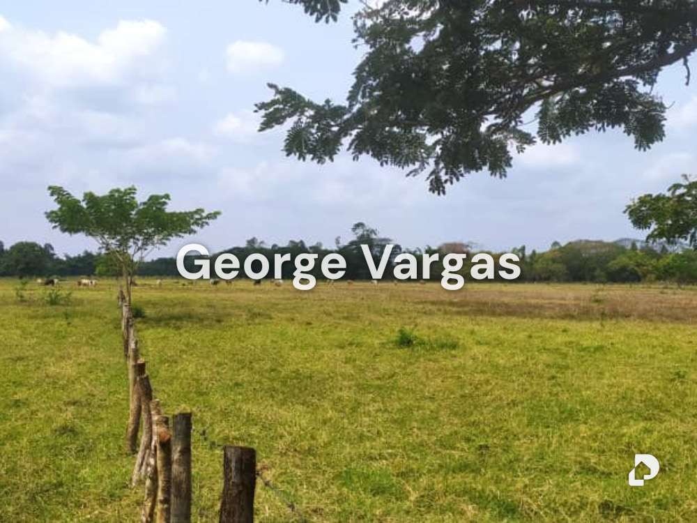Finca en Sector La Guanta, Camatagua – 14