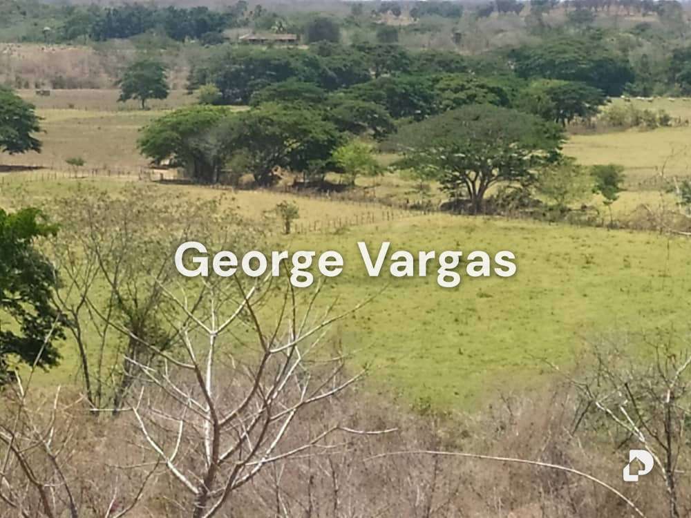 Finca en Sector La Guanta, Camatagua – 9