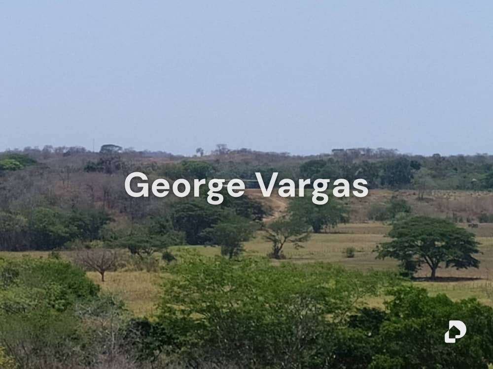 Finca en Sector La Guanta, Camatagua – 10