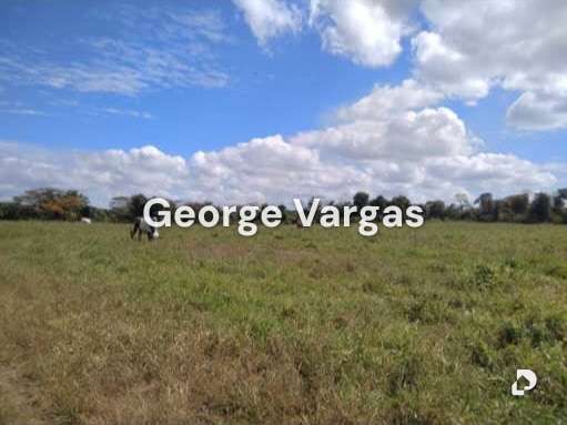 Finca en Sector La Guanta, Camatagua – 16