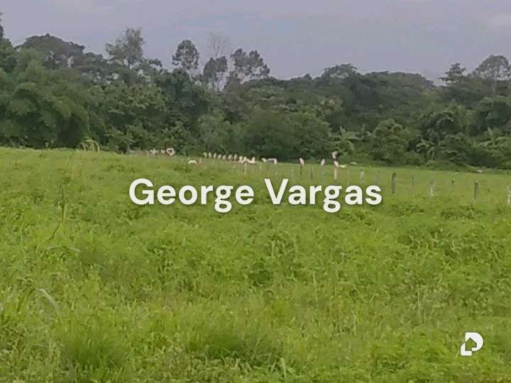 Finca en Sector La Guanta, Camatagua – 13
