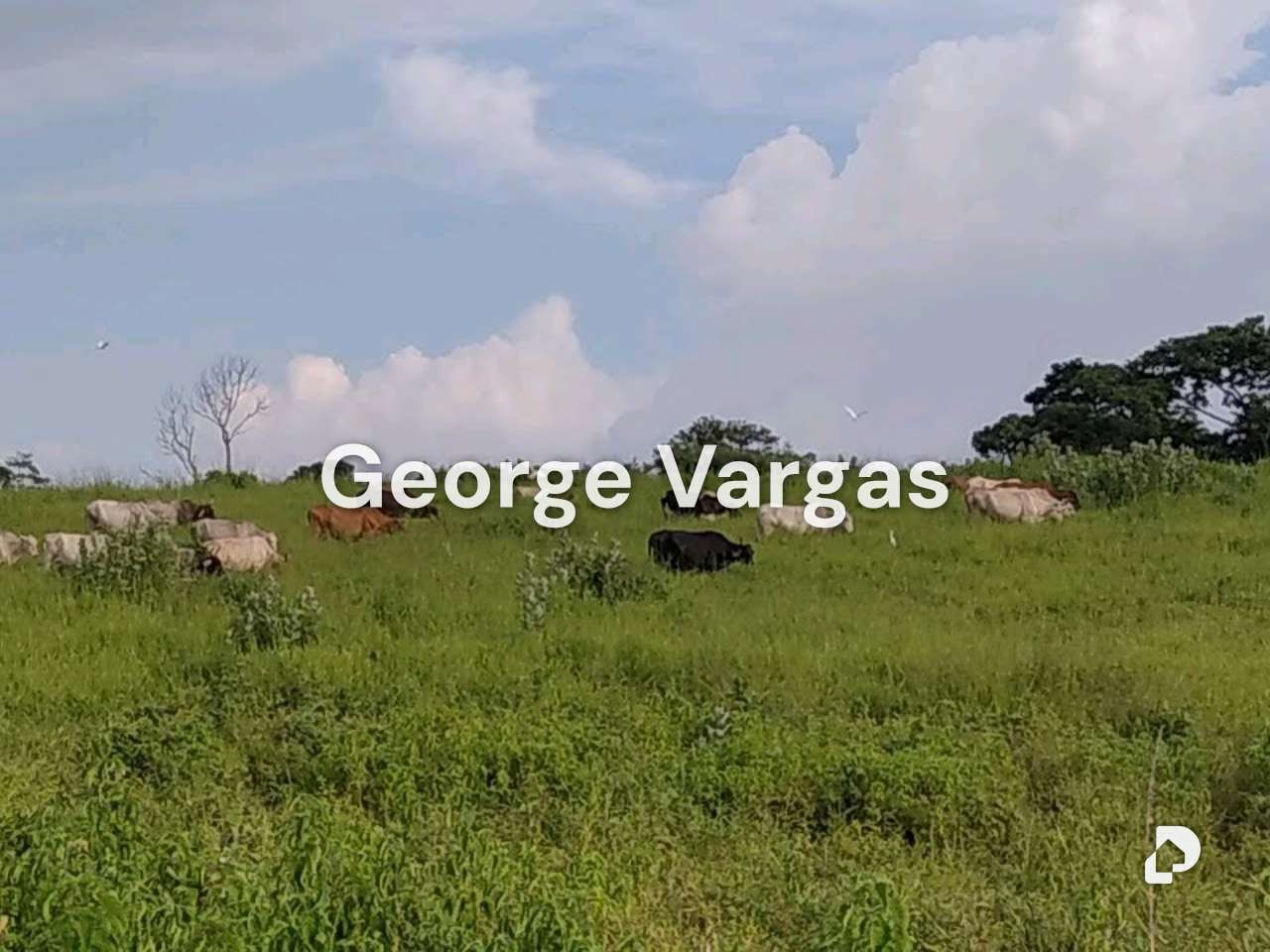 Finca en Sector La Guanta, Camatagua – 2