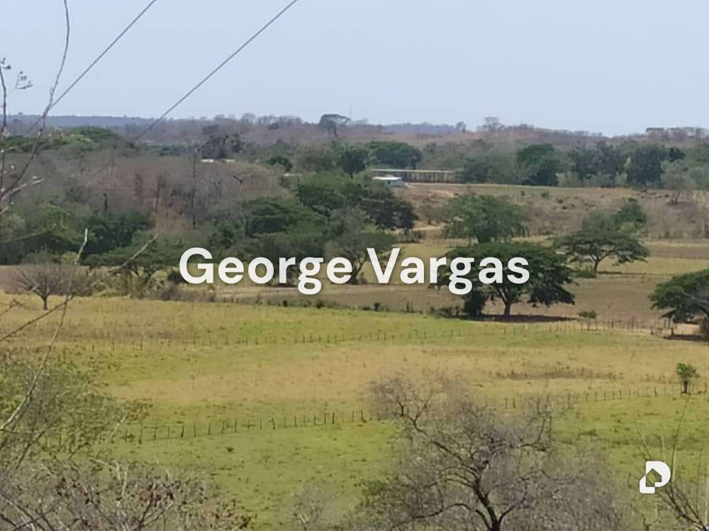 Finca en Sector La Guanta, Camatagua – 11
