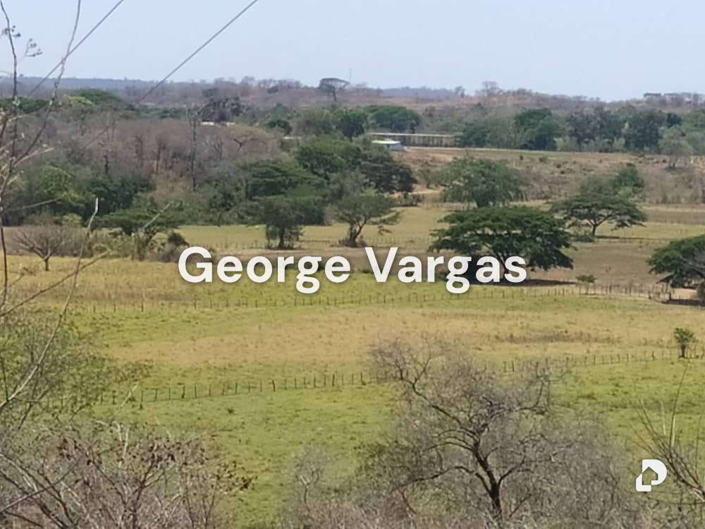 Finca en Sector La Guanta, Camatagua – 8