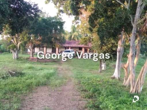 Finca en Sector La Guanta, Camatagua – 17