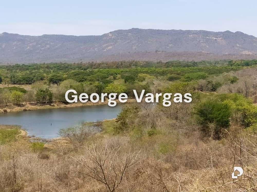 Finca en Sector La Guanta, Camatagua – 12