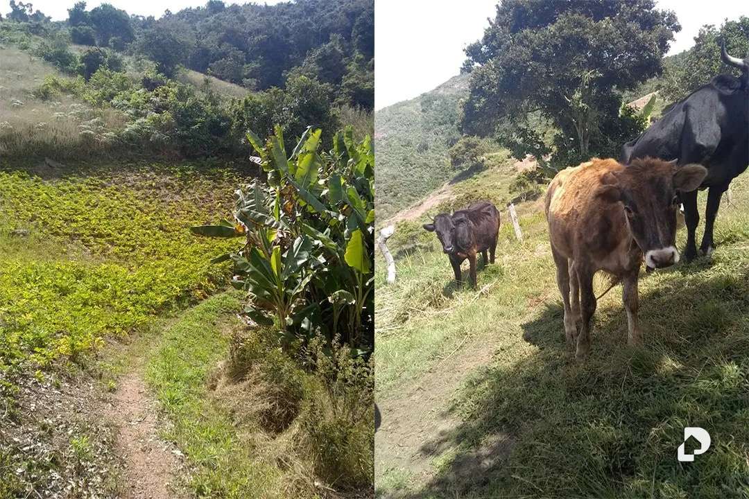 Finca en La Trampa – 4