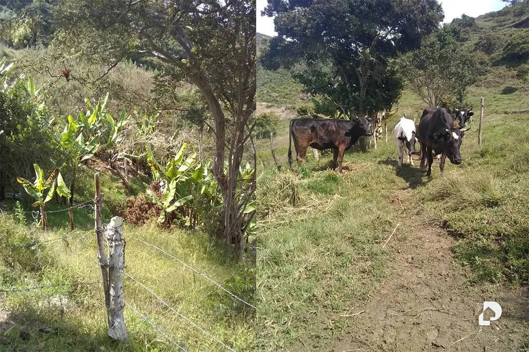 Finca en La Trampa – 5
