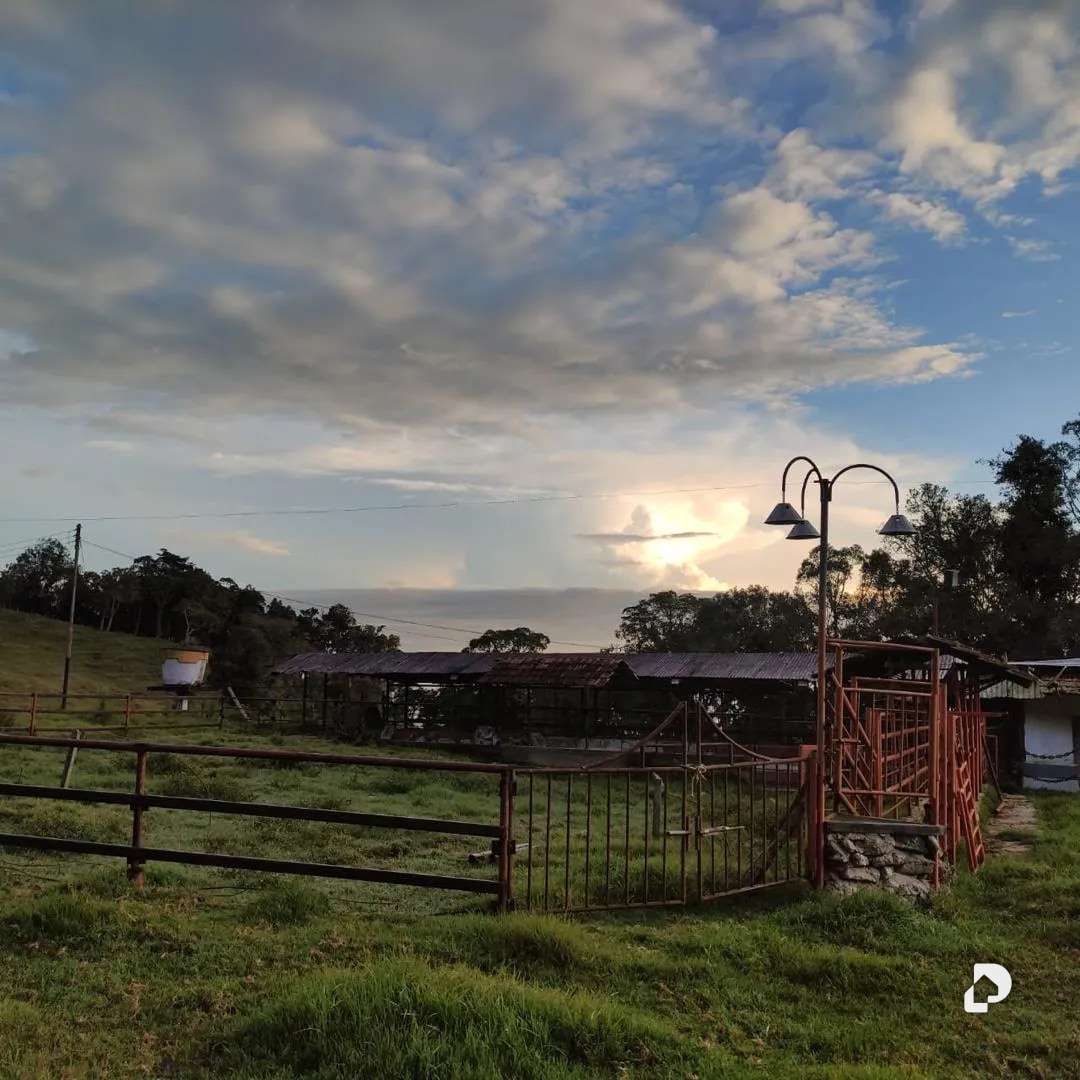 Finca en La Azulita – 4