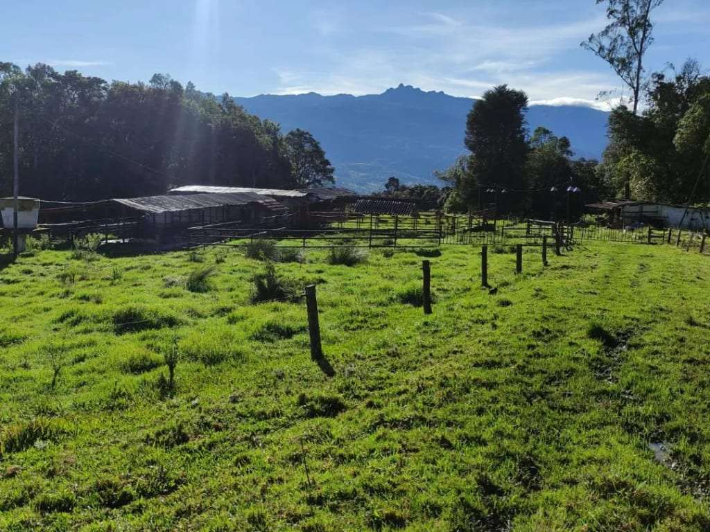 Finca en La Azulita - 1