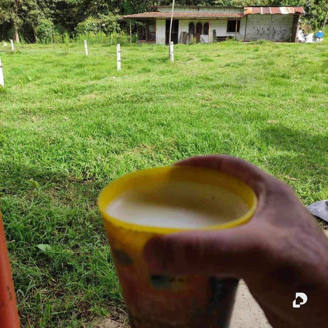 Finca en La Azulita – 13