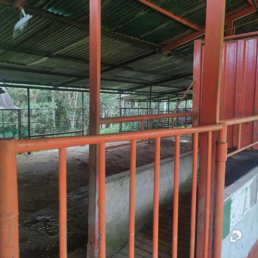 Finca en La Azulita – 7