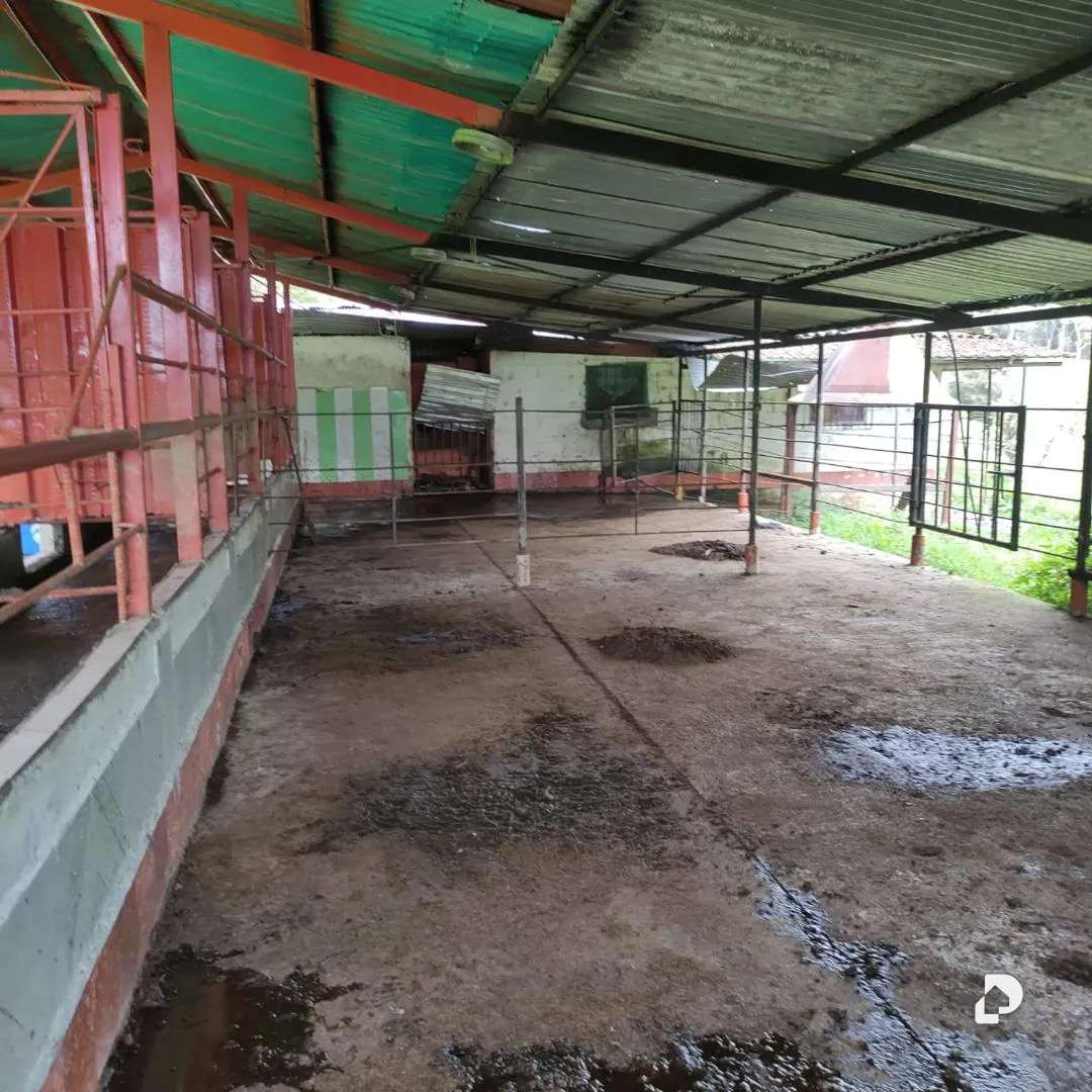 Finca en La Azulita – 8
