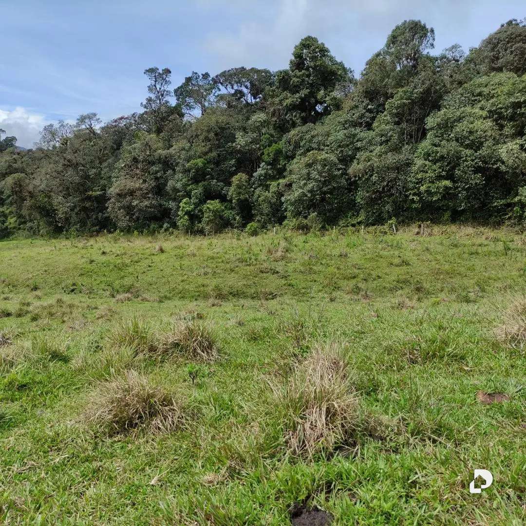 Finca en La Azulita – 17
