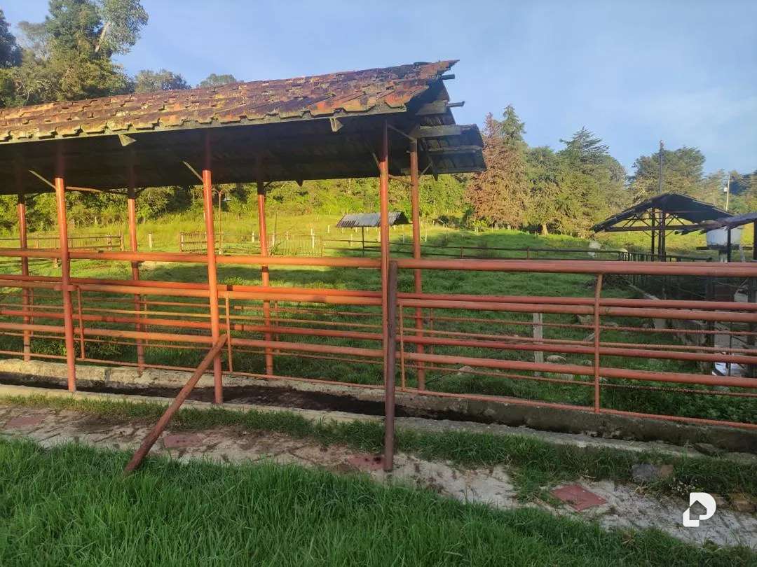 Finca en La Azulita – 12