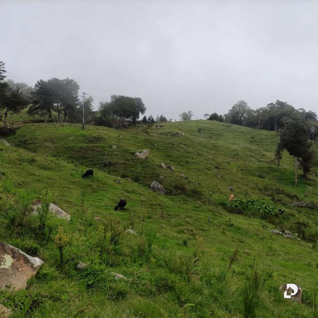 Finca en La Azulita – 3