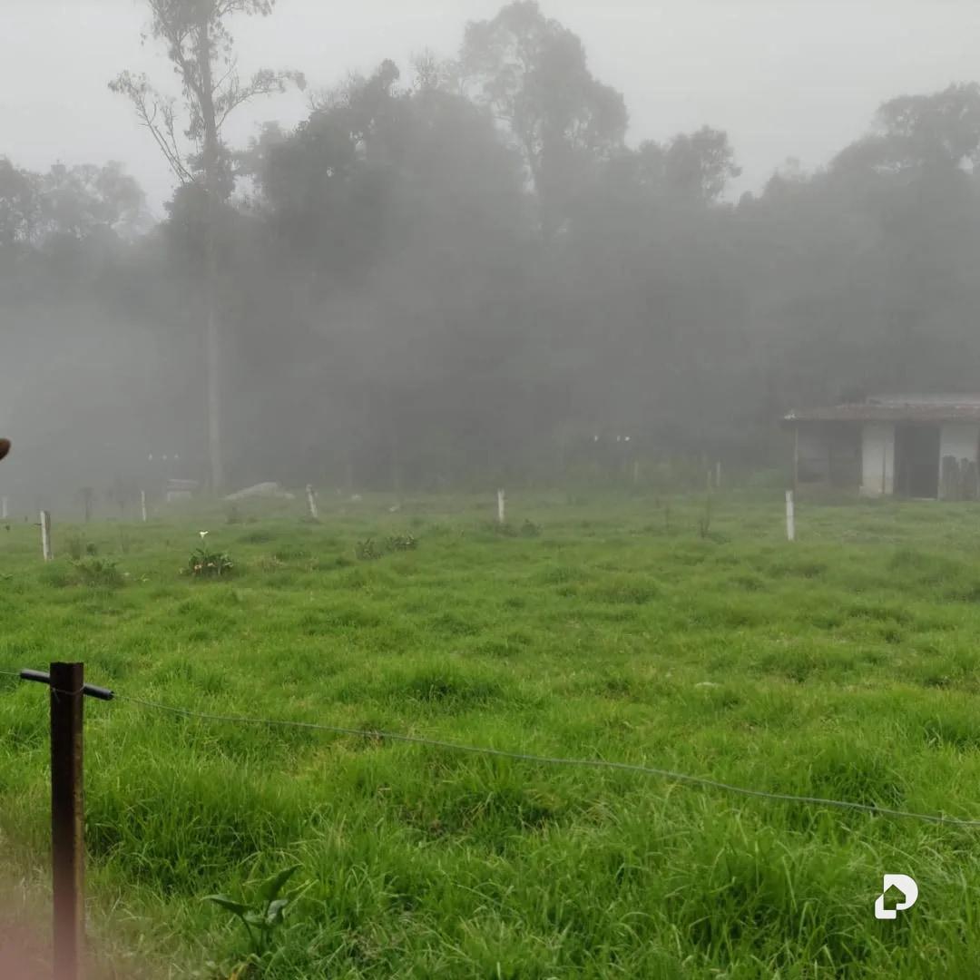 Finca en La Azulita – 5