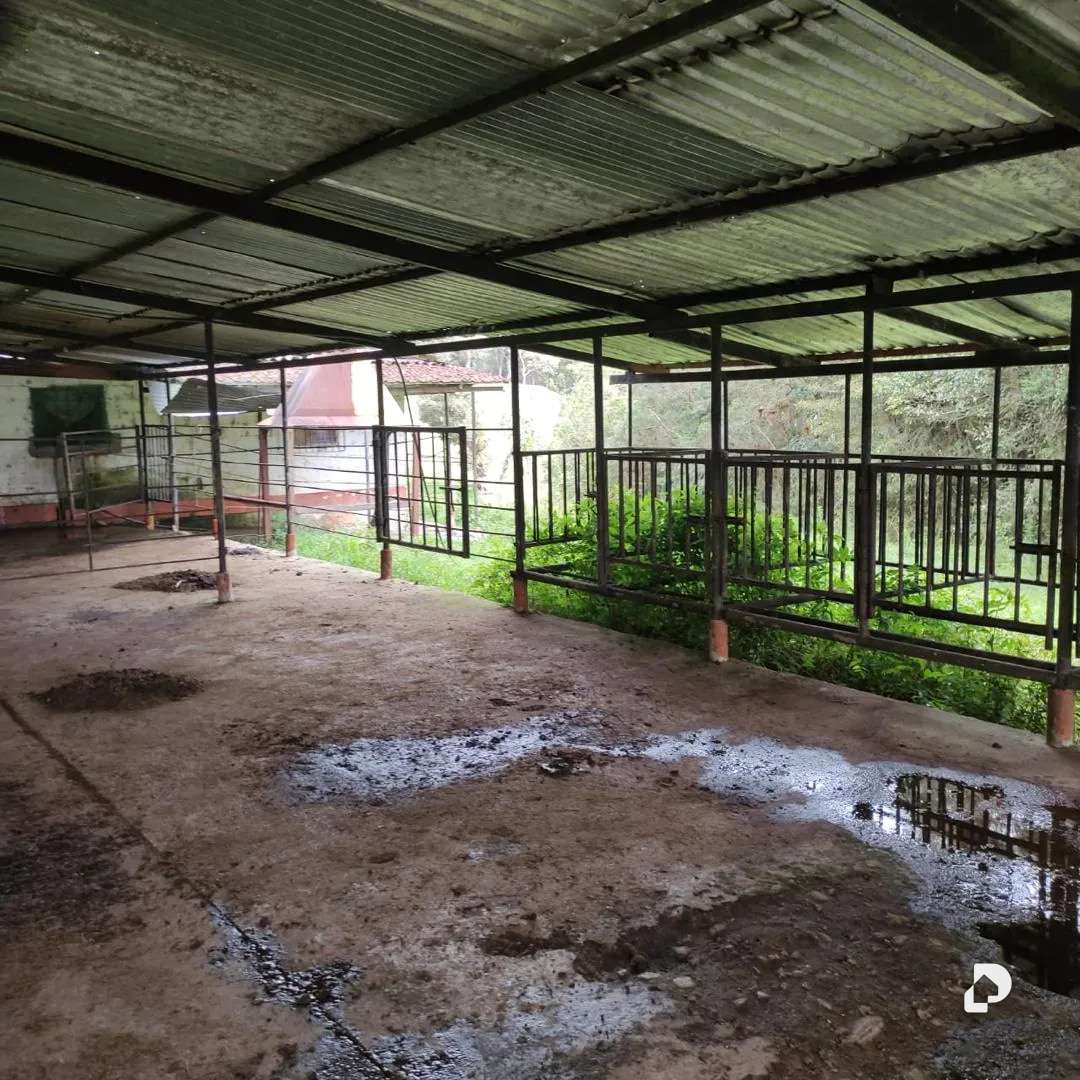 Finca en La Azulita – 10