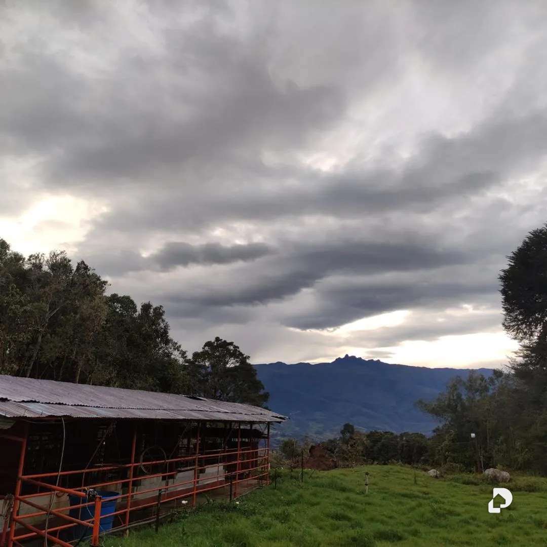 Finca en La Azulita – 6