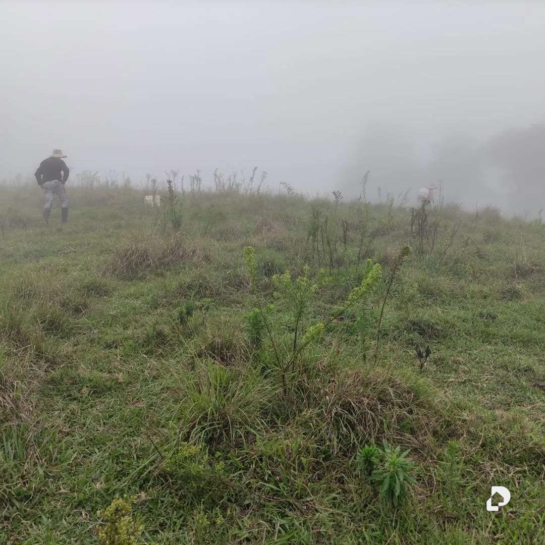 Finca en La Azulita – 15