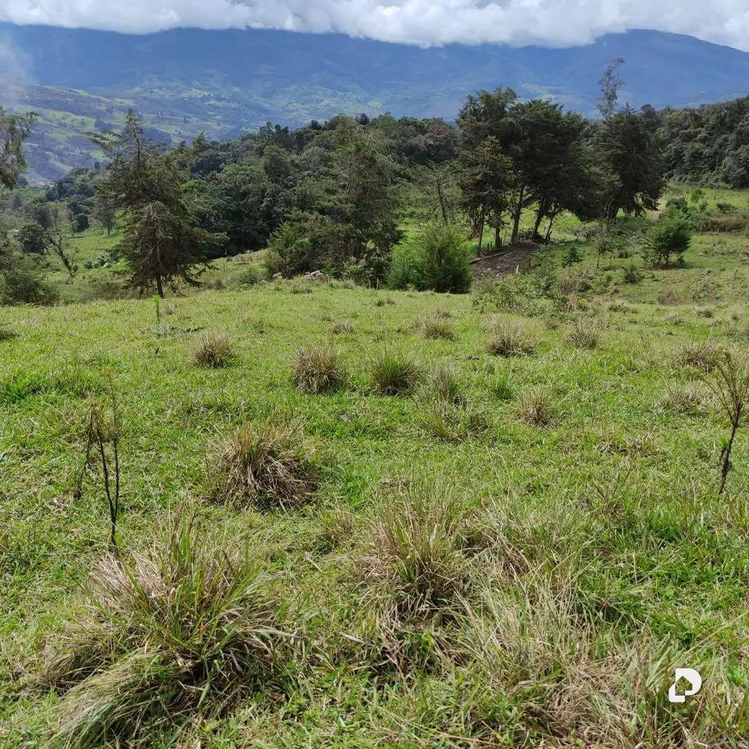 Finca en La Azulita – 2