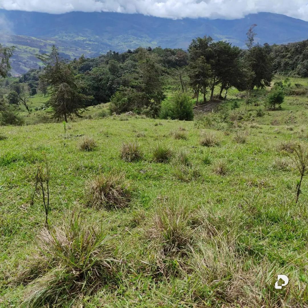 Finca en La Azulita – 2