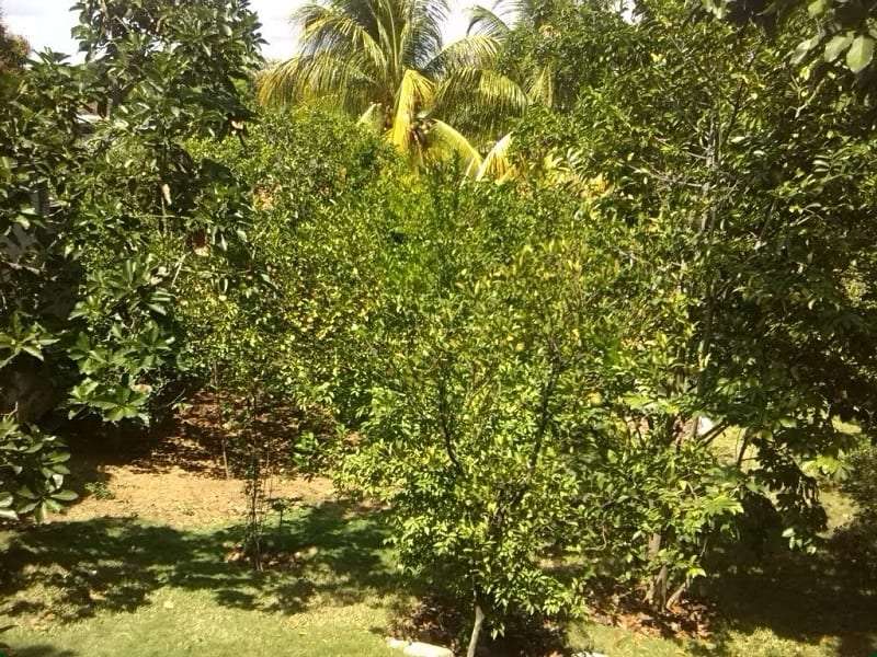 House in Barquisimeto - 1