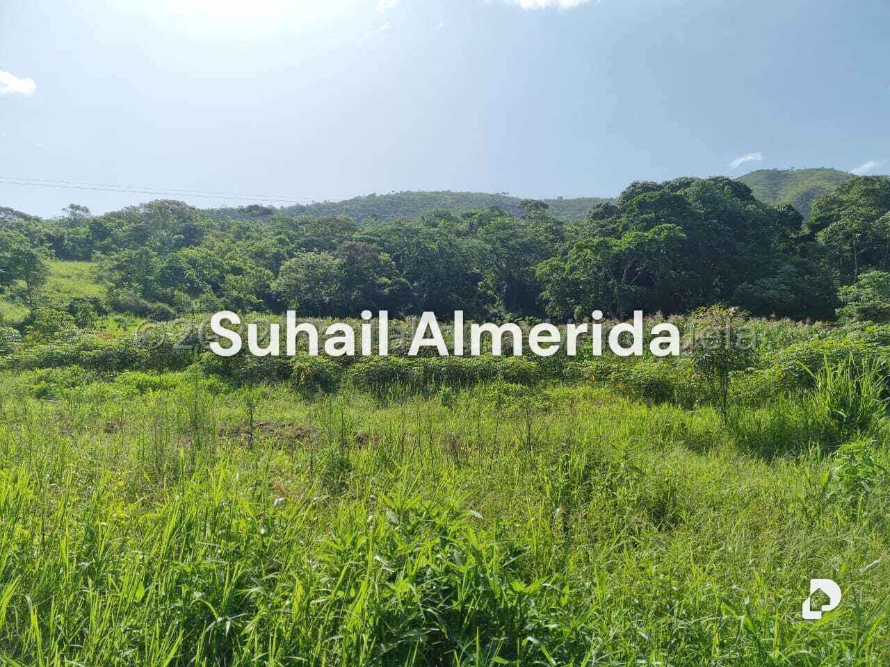 Finca en Aguirre, Montalbán – 5