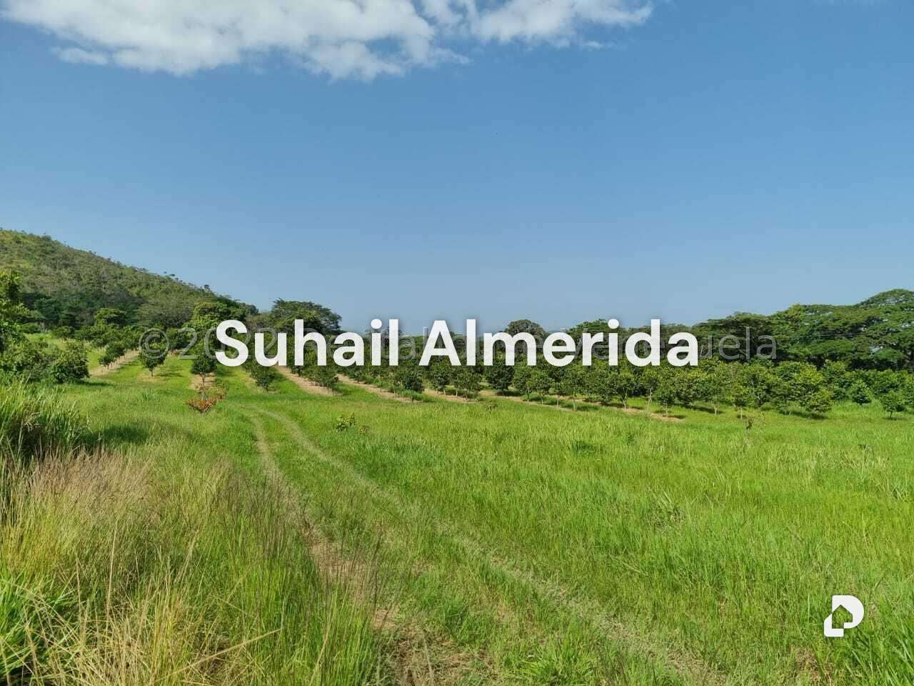 Finca en Aguirre, Montalbán – 12