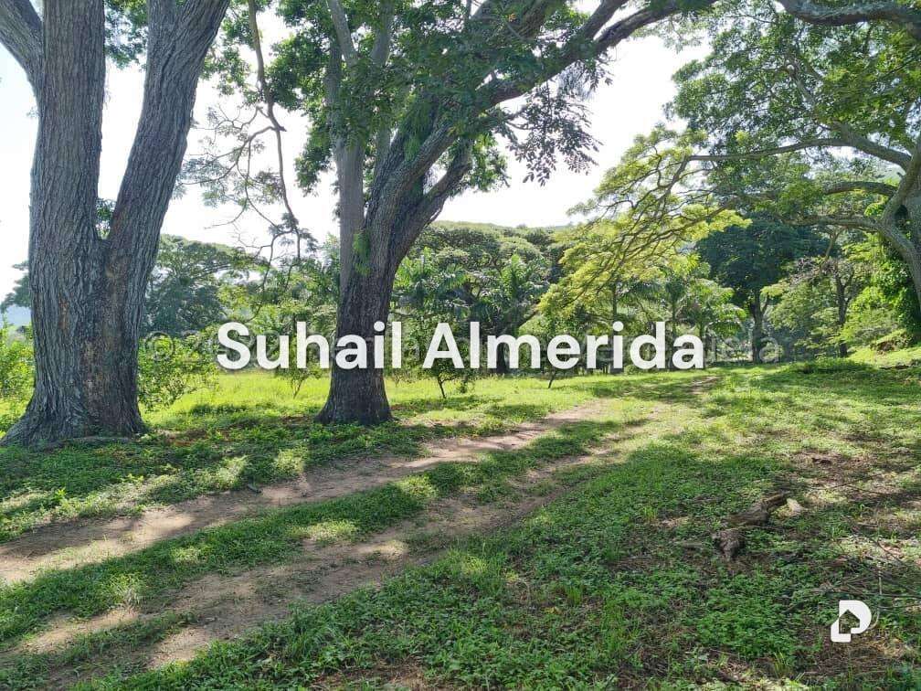 Finca en Aguirre, Montalbán – 14