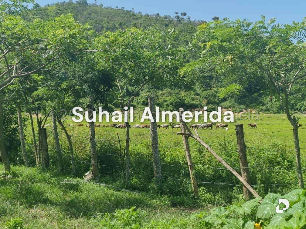 Finca en Aguirre, Montalbán – 15
