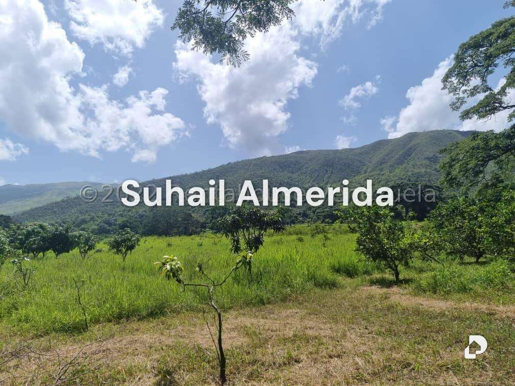 Finca en Aguirre, Montalbán – 16