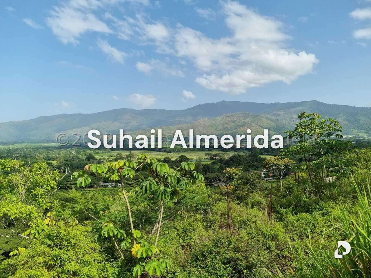 Finca en Aguirre, Montalbán – 8