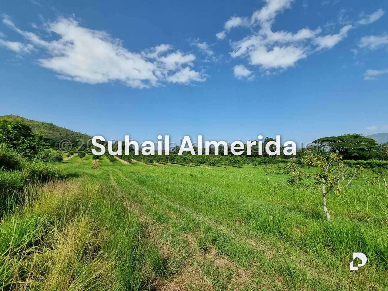 Finca en Aguirre, Montalbán – 11