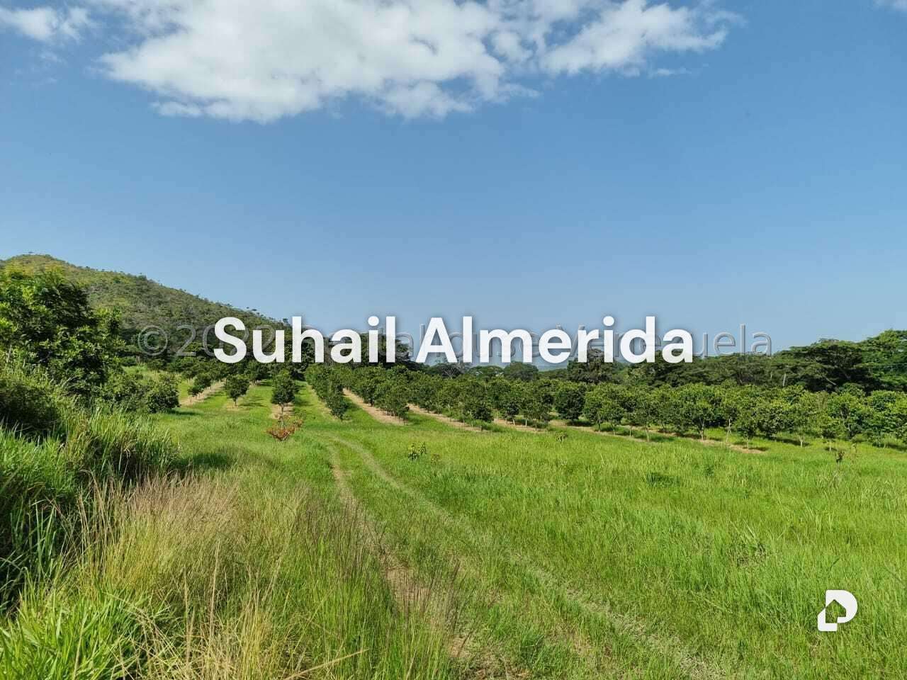 Finca en Aguirre, Montalbán – 13
