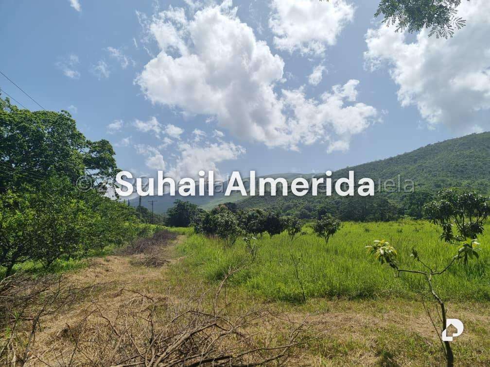 Finca en Aguirre, Montalbán – 3